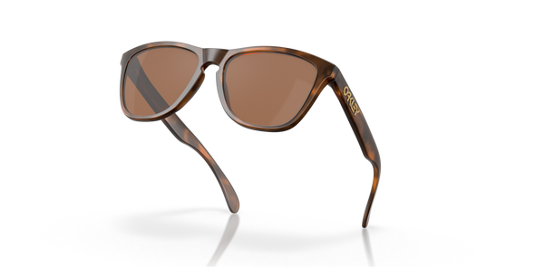 Frogskin - Matte Tortoise/Prizm Tungsten