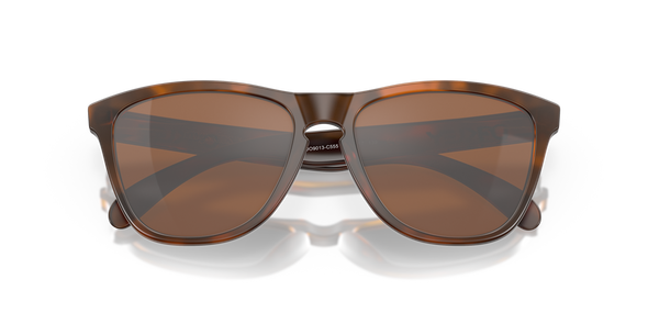 Frogskin - Matte Tortoise/Prizm Tungsten