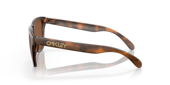 Frogskin - Matte Tortoise/Prizm Tungsten