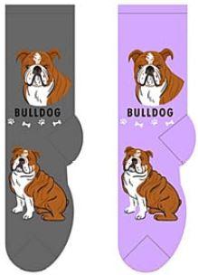 Bulldog Socks