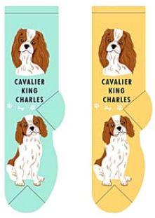 Cavalier King Charles Socks