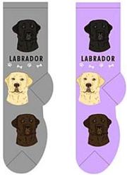 Labrador Socks