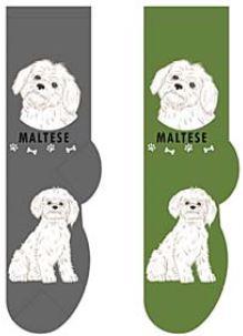 Maltese Socks