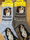 Bernese Mountain Dog Socks