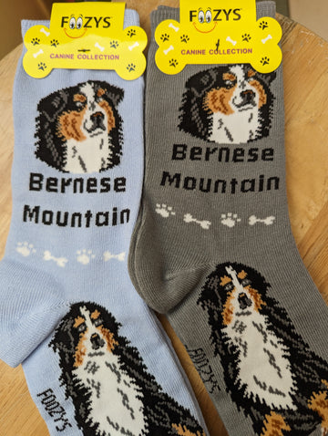 Bernese Mountain Dog Socks