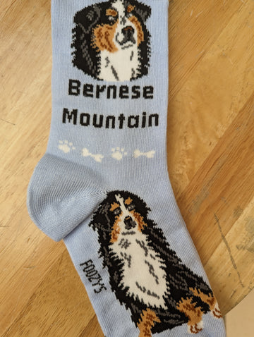 Bernese Mountain Dog Socks