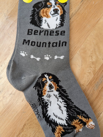 Bernese Mountain Dog Socks