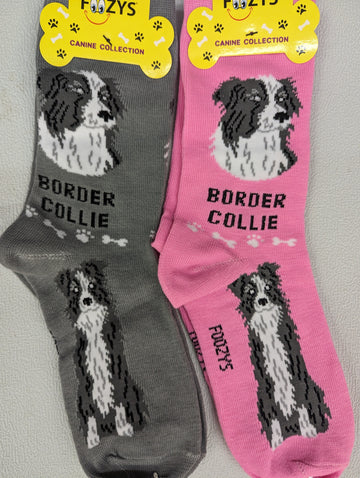 Border Collie Socks