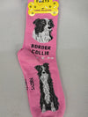 Border Collie Socks