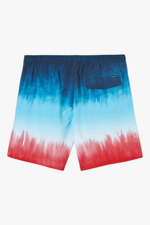 Hermosa 17" Boardshorts