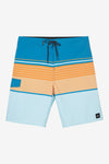 Lennox Stripe 21" Boardshorts