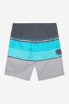 Lennox Stripe 21" Boardshorts