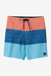 Hyperfreak Heat Block 19" Boardshorts