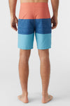 Hyperfreak Heat Block 19" Boardshorts