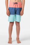 Boy's Hyperfreak Heat Block 17" Boardshorts
