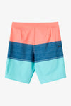 Boy's Hyperfreak Heat Block 17" Boardshorts