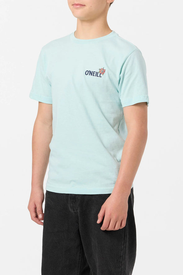 Boy's Micawber Tee
