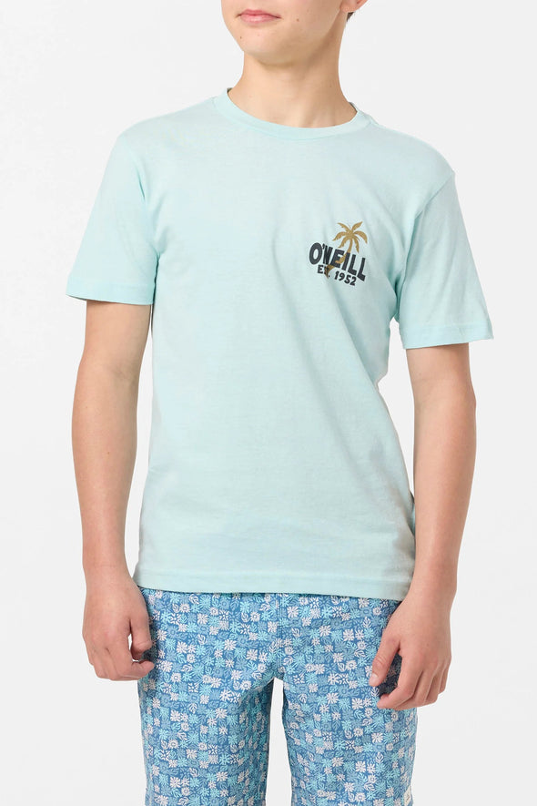 Boy's Axelrad Tee