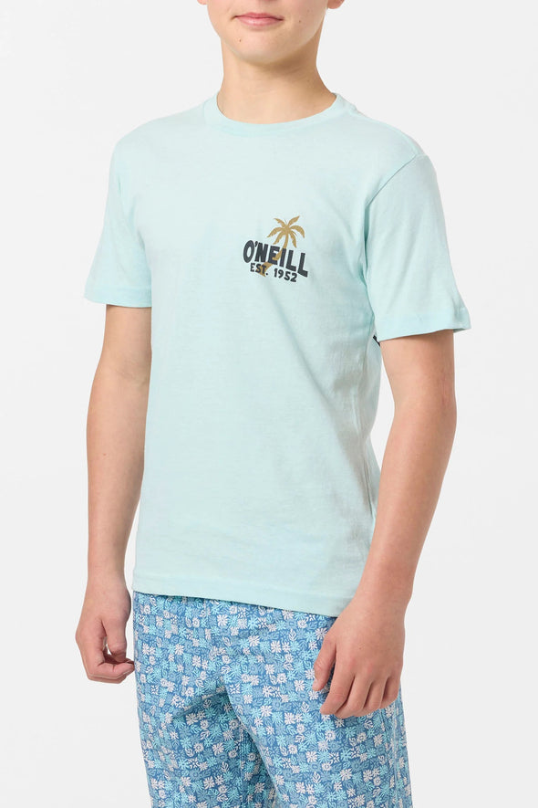 Boy's Axelrad Tee