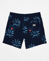 Boy's Sundays Layback 16" Swim Trunks