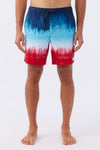 Hermosa 17" Boardshorts