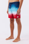 Hermosa 17" Boardshorts