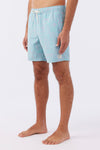 O'Riginals Volley 17" Boardshorts