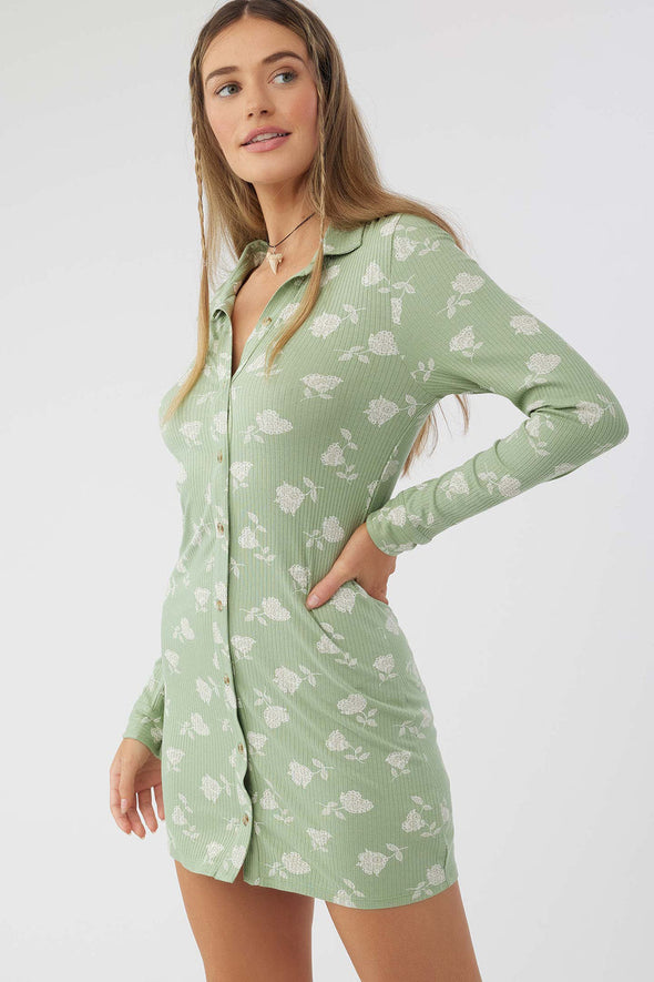 Juliette Long Sleeve Dress
