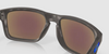 HOLBROOK - MATTE BLACK TORTOISE / PRIZM SAPPHIRE POLARIZED